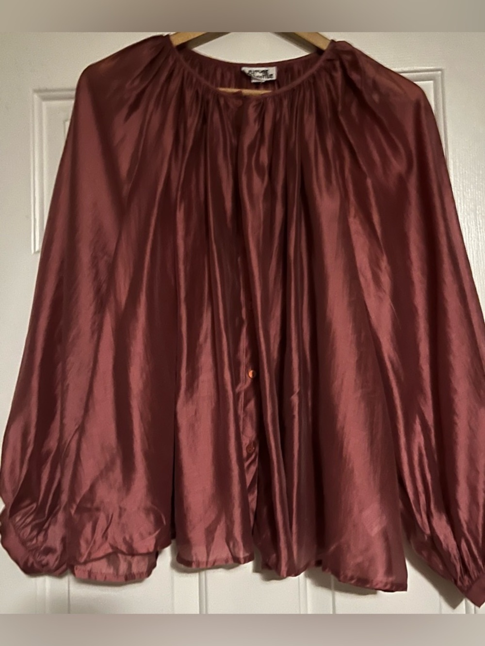 future collective sheer balloon sleeve top